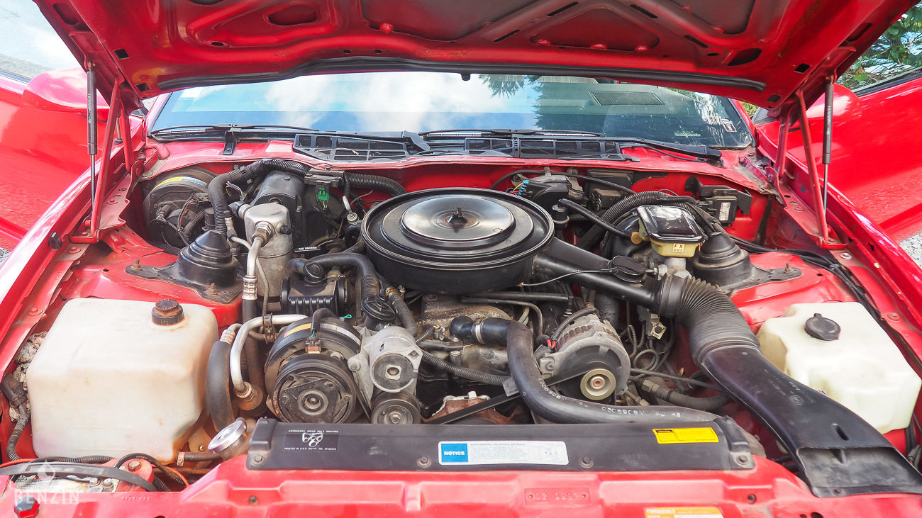 Pontiac Firebird Transam - 1990 - Benzin.fr occasion à vendre se vende for sale te koop zu verkaufen Pontiac Firebird Transam - 1990 - Benzin.fr occasion à vendre se vende for sale te koop zu verkaufen