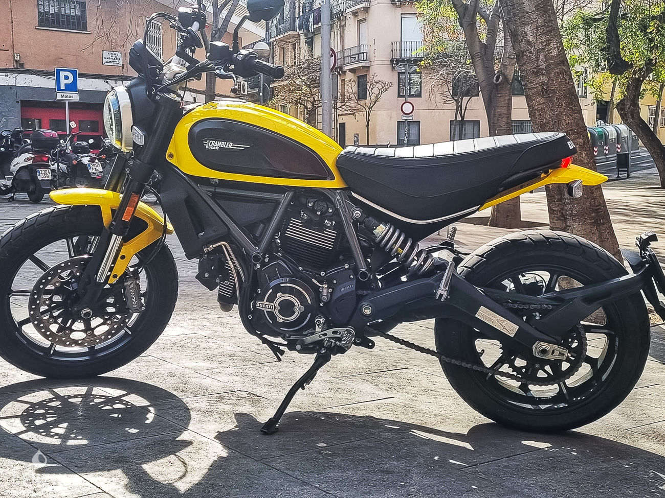 Ducati Scrambler Icon - 2021 - Benzin.fr occasion à vendre se vende for sale te koop zu verkaufen