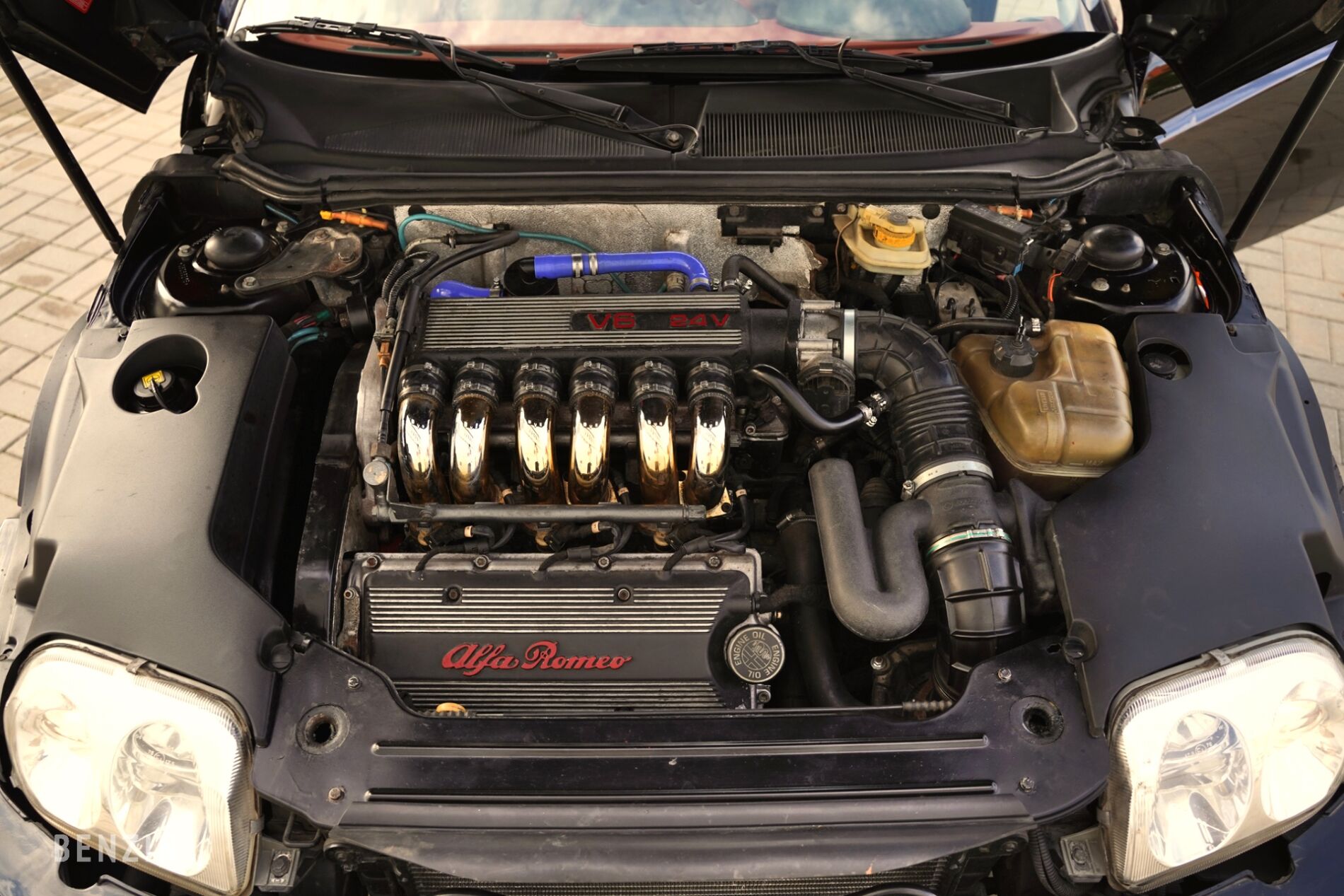 Alfa GTV 916 Busso 3.0 V6 à vendre te koop to sell zu verkaufen se vende en vendita