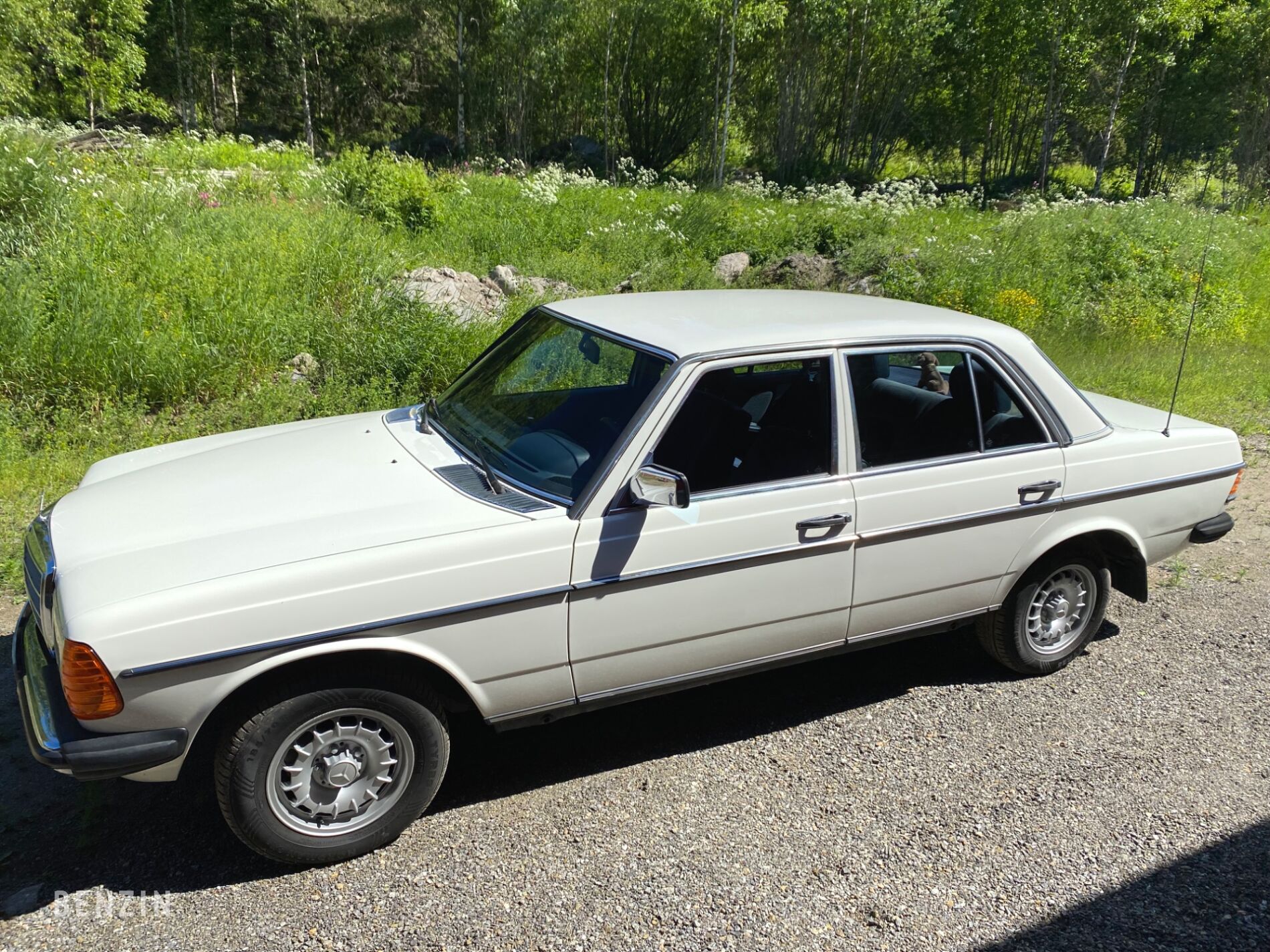 Mercedes-Benz 300 Turbodiesel W123 - 1983
