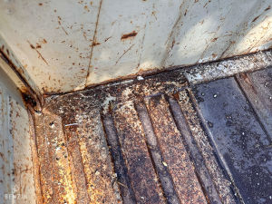 Peugeot 404 U10 Pick Up Projet - 1979