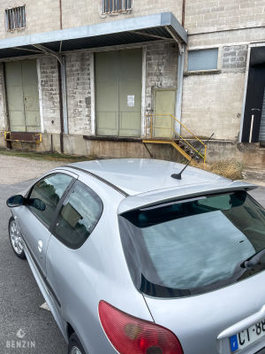 Peugeot 206 S16 - 2002 *Flash