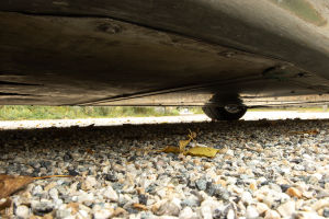 Lotus Elise S1 - 1999