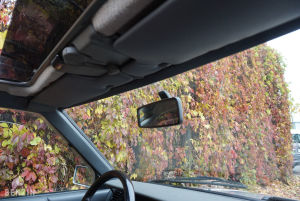 Renault 11 Turbo - 1987