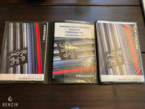 Peugeot 205 GTI 1.9 122 Projet - 1989