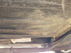 Lancia Fulvia 1.6 HF “Corsa” - 1972