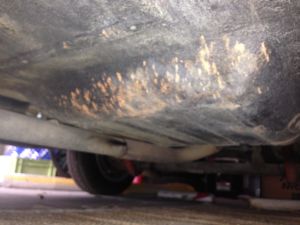 Lancia Fulvia 1.6 HF “Corsa” - 1972