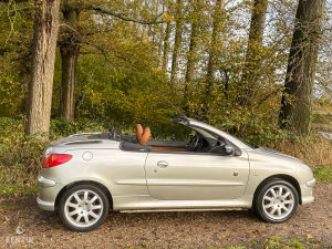 Peugeot 206 CC 1.6 16v Roland Garros - 2003