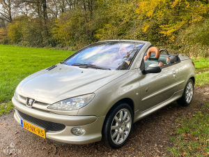 Peugeot 206 CC 1.6 16v Roland Garros - 2003