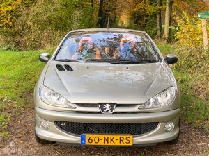 Peugeot 206 CC 1.6 16v Roland Garros - 2003