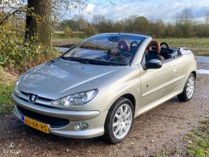 Peugeot 206 CC 1.6 16v Roland Garros - 2003
