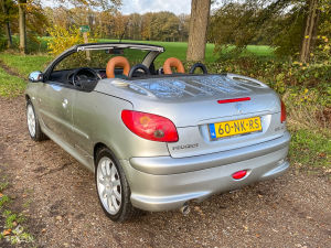 Peugeot 206 CC 1.6 16v Roland Garros - 2003