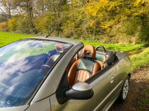 Peugeot 206 CC 1.6 16v Roland Garros - 2003
