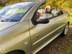 Peugeot 206 CC 1.6 16v Roland Garros - 2003