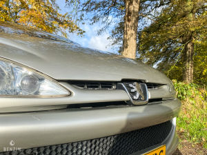 Peugeot 206 CC 1.6 16v Roland Garros - 2003