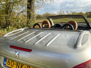 Peugeot 206 CC 1.6 16v Roland Garros - 2003