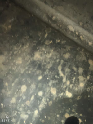 Mercedes-Benz SLK 230 r170 - 1999