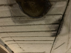 Volkswagen Coccinelle Open Air - 1996