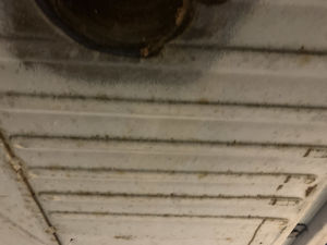 Volkswagen Coccinelle Open Air - 1996