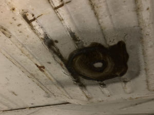 Volkswagen Coccinelle Open Air - 1996