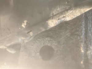 Fiat 124 Spider - 1980