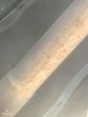 Fiat 124 Spider - 1980