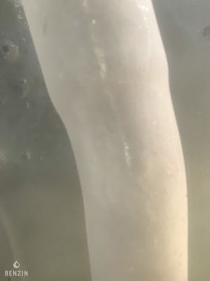 Fiat 124 Spider - 1980