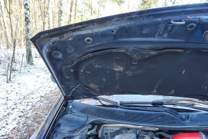 Renault Megane 2 RS - 2004