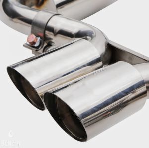 Mini Cooper S R53 Checkmate - 2006