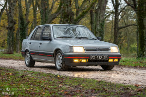 Peugeot 309 GTI 50k km - 1988