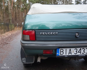 Peugeot 205 Roland Garros - 1992