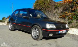 Peugeot 205 GTI 1.9 130 - 1991