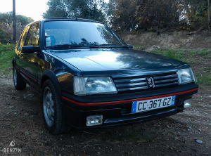 Peugeot 205 GTI 1.9 130 - 1991
