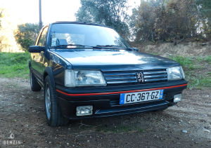 Peugeot 205 GTI 1.9 130 - 1991