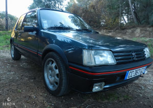 Peugeot 205 GTI 1.9 130 - 1991
