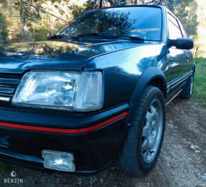 Peugeot 205 GTI 1.9 130 - 1991
