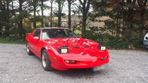 Pontiac Firebird 5.0 Trans-Am - 1990