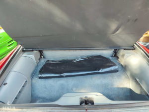 Pontiac Firebird 5.0 Trans-Am - 1990