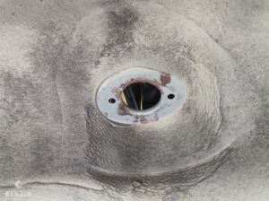 BMW e36 M50b25 Turbo - 1994