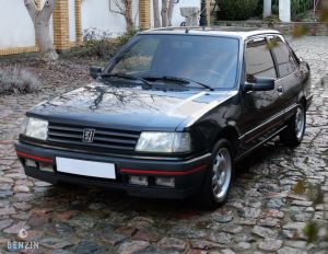 Peugeot 309 GTI - 1991*Flash