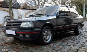 Peugeot 309 GTI - 1991*Flash