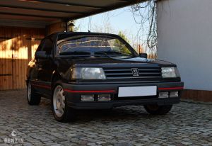 Peugeot 309 GTI - 1991*Flash