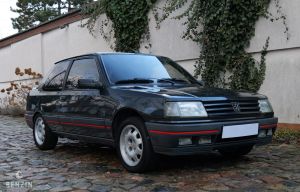 Peugeot 309 GTI - 1991*Flash