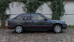 Peugeot 309 GTI - 1991*Flash
