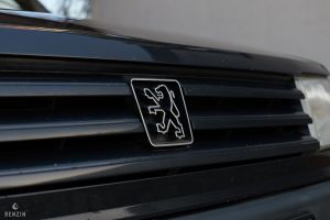 Peugeot 309 GTI - 1991*Flash