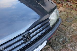 Peugeot 309 GTI - 1991*Flash