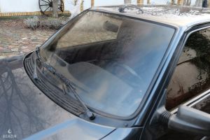 Peugeot 309 GTI - 1991*Flash