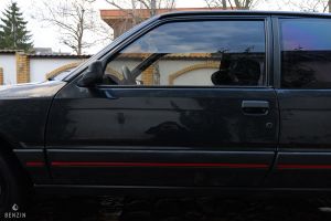 Peugeot 309 GTI - 1991*Flash