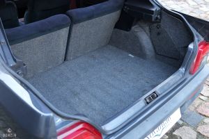 Peugeot 309 GTI - 1991*Flash