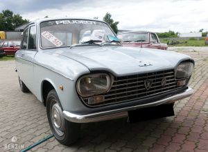 Peugeot 204 - 1967*Projet